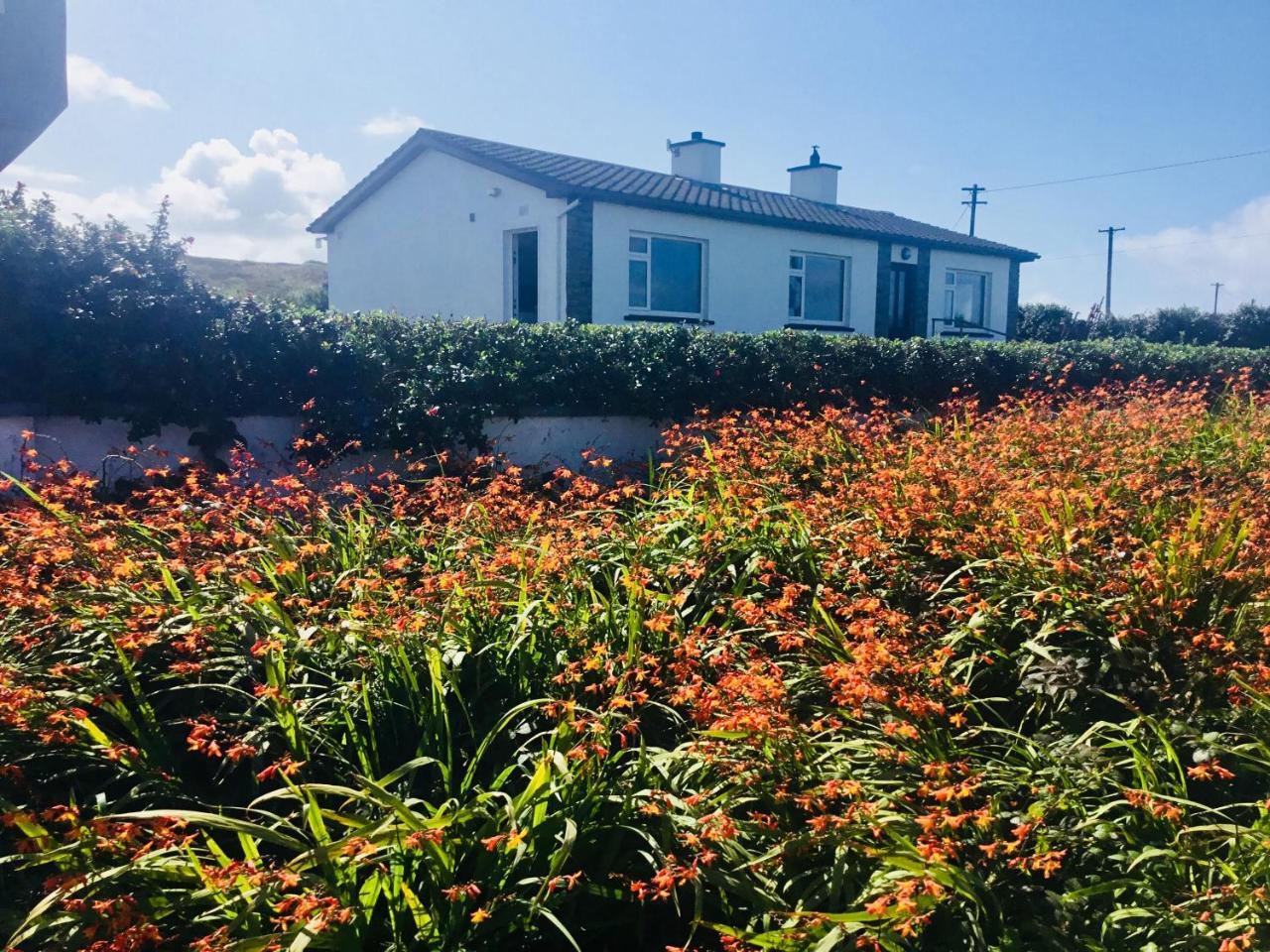 Doolin View Apartment エクステリア 写真